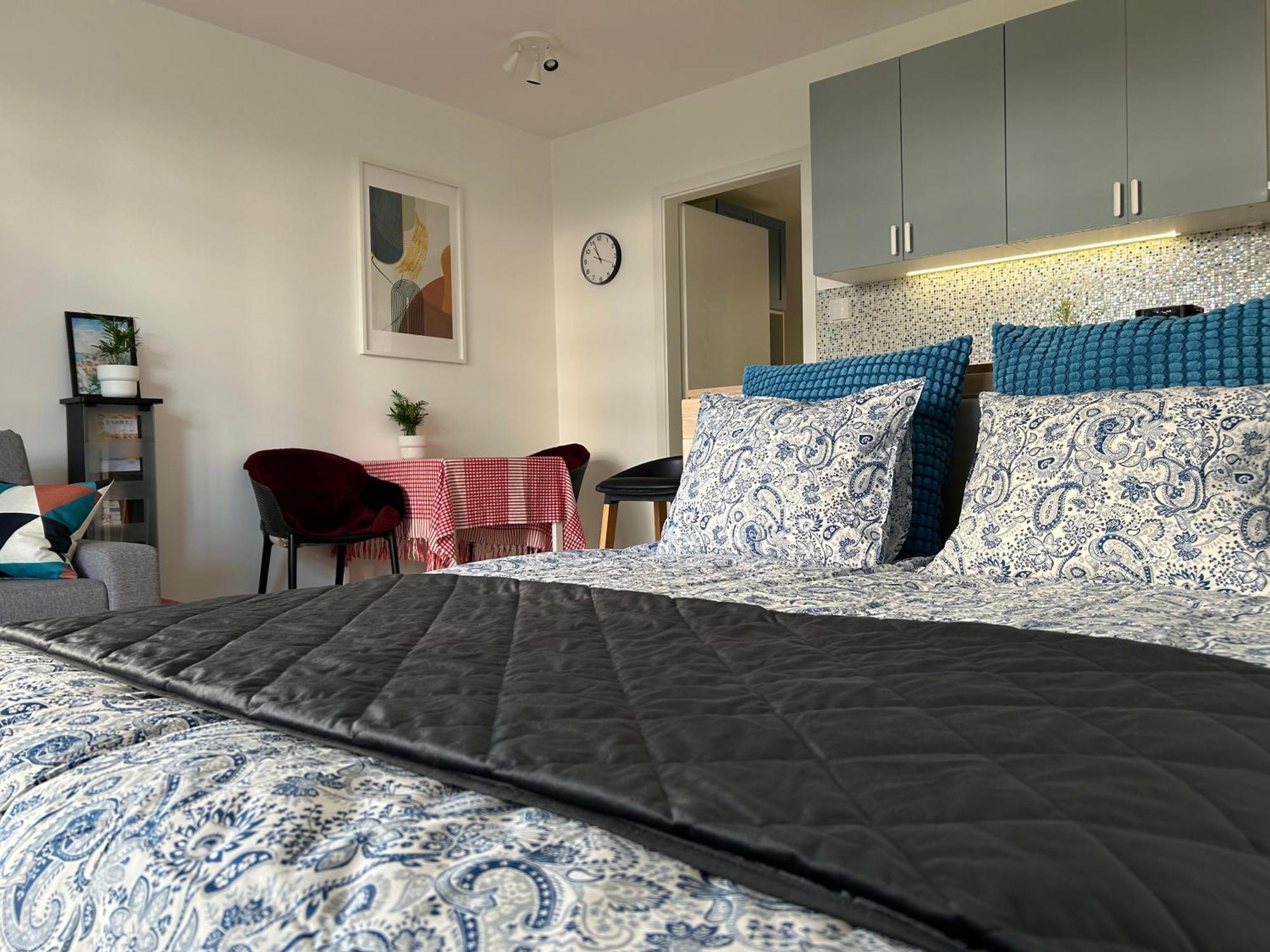 New Studio-free Parking Evcs Apartment